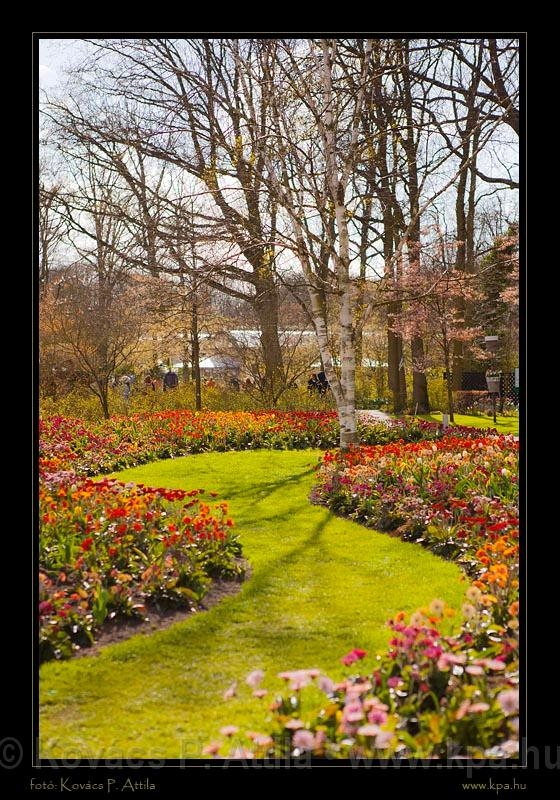 Keukenhof Hollandia 107.jpg